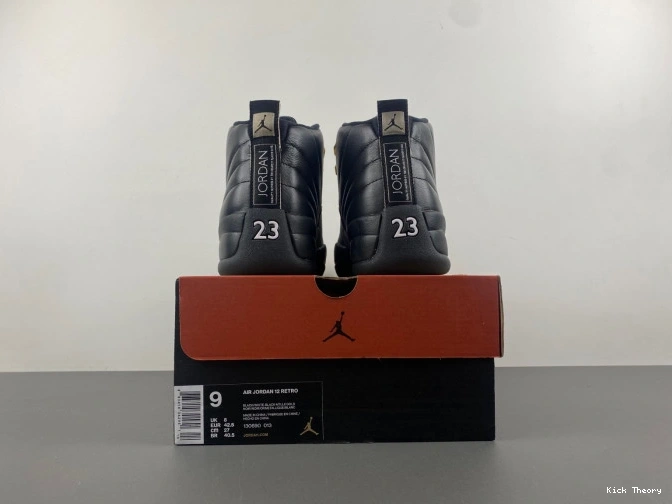 Kick Theory Jordan Air Master The 12 Retro 130690-013 0723